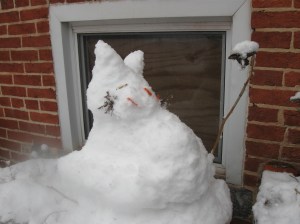 snow cat, March 5