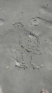 IMG_20150506_181805185